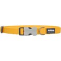 Red Dingo Dog Collar Classic Yellow, Small RE437134